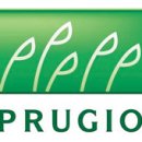 분성마을5단지푸르지오아파트 이미지