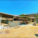 봉산축사 이미지