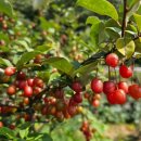 돌트미스테이 이미지