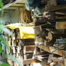 언니네펜션 이미지