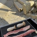 서울대공원 캠핑장 이미지