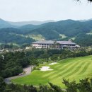 여주-0800 이미지