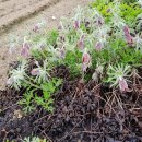 병세농장 이미지