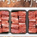 고기섬 - 중구 | 고기섬