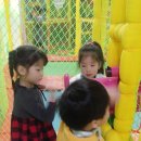 아우라키즈카페