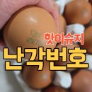 덕산농장2 | 난각번호 난각1번 유정란 양계장청년 후기