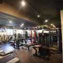 웰니스핏 이미지