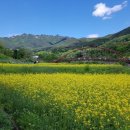 해인사 소리길 이미지