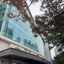 (주)대구그랜드관광호텔사우나 | [대구 4성급 호텔 / 수성구 숙소] 대구 그랜드 호텔 디럭스 트윈룸 후기 🏨💛