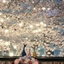 군산갈비 이미지