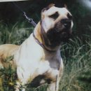 김철농장 이미지