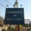 나무아래오후N