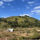 오라뷰 민박 이미지