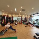 변현선의 풀바디짐 이미지