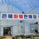 은혜화훼판매장 방문 후기