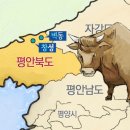 벽창호 이미지