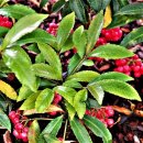 수성성모연합한의원 이미지