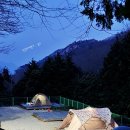 피노키오 자연휴양림 야영장 | 전남 오토캠핑장 추천 2만원 강진 주작산자연휴양림 야영장 후기