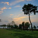 남도삼백리길(9코스) 이미지