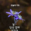 여보게 친구 이미지