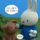 W1. 청주 신상 웨딩홀 트리웨딩 계약 후기