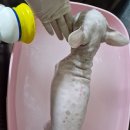 우아한개 이미지