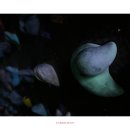 수원 크럭스존