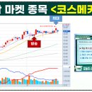 (주)브이티바이오 이미지