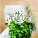 "파주 파티마 평화의 성당 방문후기,마음이 편안해지는곳"