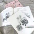 연필드로잉 이미지