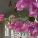 9시9분안경마켓 | [수원 일월수목원] 아이와 가볼만한곳 🌿 토마토안경테 변색선글라스 착용후기