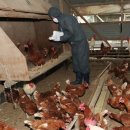 김호영농장 이미지