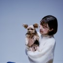 에트르스튜디오