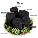 천연가습기 [백탄 참숯 10kg] 이미지