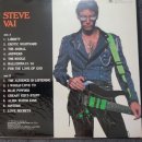 Steve Vai 솔로 앨범 passion &amp; Warfare 입니다 이미지