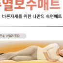 플라베스 이미지