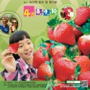 논산 예스민 딸기축제및전국 벚꽃축제 이미지