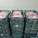 장수 유통 이미지