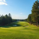 포항골프장(대중18홀) 이미지