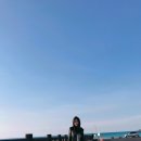 킴스여행주