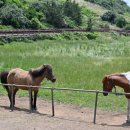 주식회사 남경제주에너지 | 효과 좋은 제주 온라인 광고회사