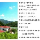 행복한숲Happyforest 이미지