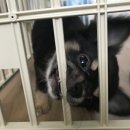 홈런스터디카페 | 5월