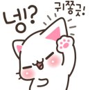 탬스켄넬 이미지