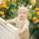 (주)빅스텝스튜디오 | 애니스튜디오 부산 돌촬영 재촬영한 후기 아기 성장앨범