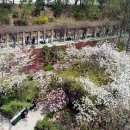 동구여자중학교 이미지