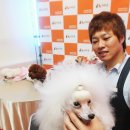 디비에스 주식회사 이미지