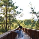 송호파크 네이버블로그