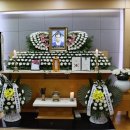 최*복 - 해남군 평호길 222-33 | 최*복