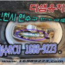 다샘 유치원 이미지